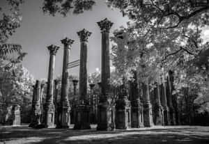 Windsor Ruins Mississippi Monochromatic Photography Wallpaper