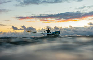 Windsurfing Ocean View Wallpaper