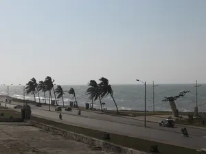 Windy Day In Avenida Santander In Cartagena Wallpaper