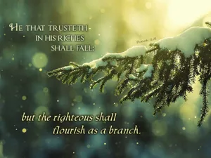 Winter Aesthetic Theme With Proverbial Quote Wallpaper