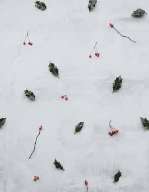 Winter Berriesand Leavesin Snow Wallpaper