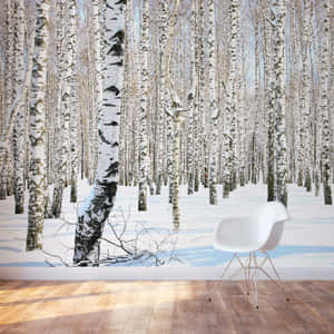 Winter Birch Forest Muralwith Chair Wallpaper
