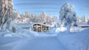 Winter_ Cabin_ Snowscape_ Kashmir Wallpaper