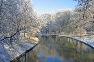 Winter Canal Scene Utrecht Wallpaper