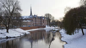 Winter Canal View S Hertogenbosch Wallpaper