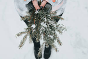 Winter Christmas Pine Leaves On Hands Wallpaper