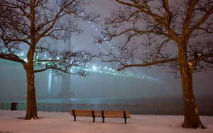 Winter Cityscape: Snow-covered Downtown Wallpaper