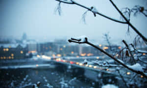 Winter Cityscape With Serene Snowfall Wallpaper
