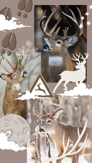 Winter Deer Collage Wallpaper