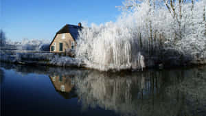 Winter Frost House Reflection Hengelo Wallpaper