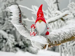 Winter Gnome With Gifts On Frosted Branch Wallpaper