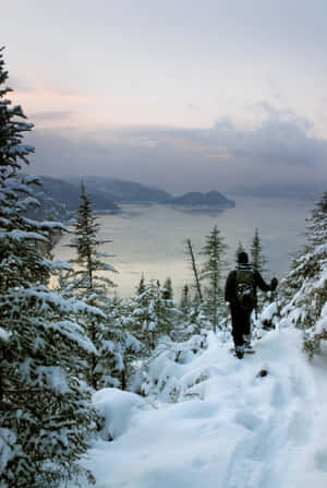 Winter Hike Saguenay Fjord Wallpaper