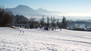 Winter In Gorje Slovenia Wallpaper