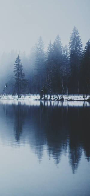 Winter Iphone Misty Lake Wallpaper