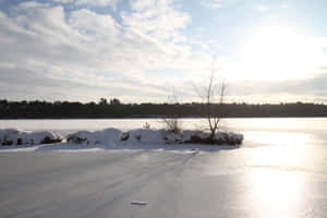 Winter Landscape Frozen Lake Tilburg Wallpaper