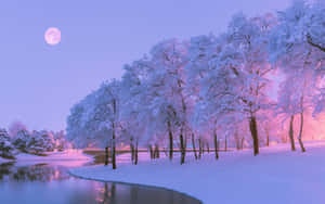 Winter Moonlight Snowscape.jpg Wallpaper