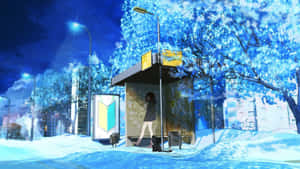 Winter Night Bus Stop Wallpaper