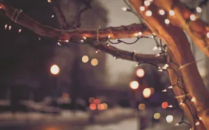 Winter Night Lightson Tree Wallpaper