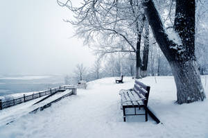 Winter Park Benches Wallpaper