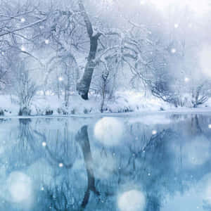 Winter Reflectionsi Pad Lock Screen.jpg Wallpaper