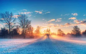 Winter Scene Frosty Sunset Wallpaper