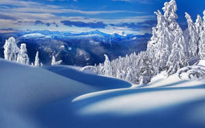 Winter Scene Snowy Landscape Wallpaper