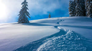 Winter Skier For Laptop Wallpaper