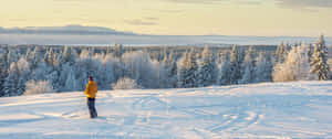 Winter Skiingin Ostersund Sweden Wallpaper