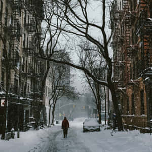 Winter_ Stroll_in_ Snowy_ City Wallpaper