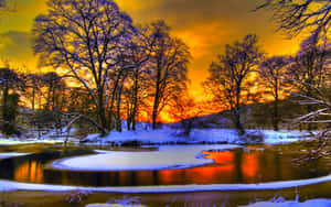 Winter Sun Illuminating A Snowy Landscape Wallpaper