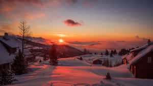 Winter Sun Peeking Through Snow-covered Trees Wallpaper