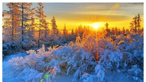 Winter Sun Shining Over Snow-covered Landscape Wallpaper