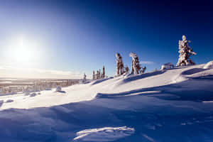 Winter_ Sunrise_in_ Lillehammer Wallpaper