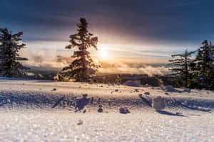 Winter_ Sunrise_ Sparkling_ Snowscape.jpg Wallpaper