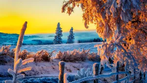Winter Sunset: A Snowy Landscape Bathed In The Warm Glow Of The Setting Sun Wallpaper