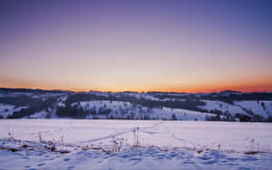 Winter Sunset Over Snow-covered Landscape Wallpaper