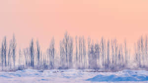 Winter Twilight Serenity.jpg Wallpaper