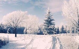 Winter Wonderland Covered Road Desktop Wallpaper