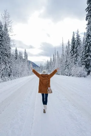 Winter Wonderland In A Forest Wallpaper