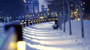 Winter Wonderland In The City Wallpaper