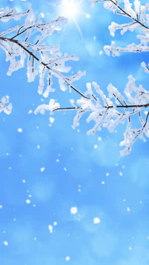 Winter Wonderland Wallpaper