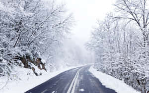 Winter Wonderland On Icy Road Wallpaper