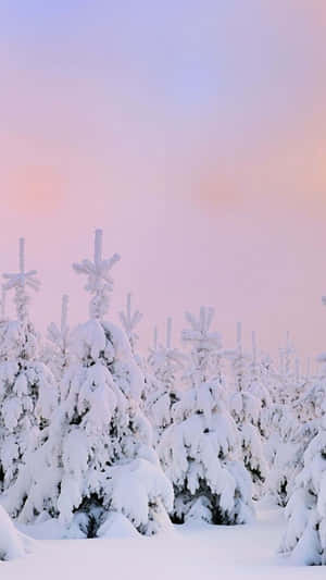 Winter Wonderland Pastel Sky Wallpaper