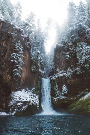 Winter Wonderland: Snowy Forest Path Wallpaper