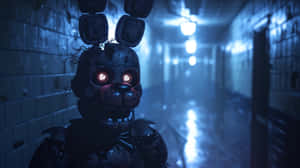 Withered Bonniein Corridor Wallpaper