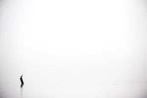 Witness The Beauty Of A Majestic Wide Open Sea Wallpaper