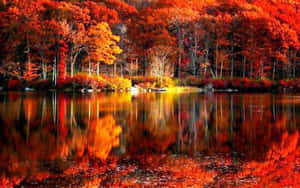 Witness The Beauty Of A New England Autumn Wallpaper
