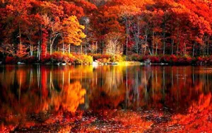 Witness The Beauty Of A New England Autumn Wallpaper