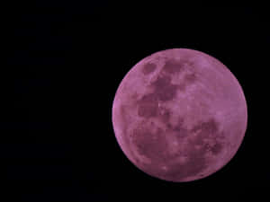 Witness The Pink Moon! Wallpaper