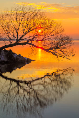 Witnessing Sunset In Madison Wallpaper